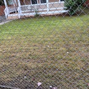 Leaf Removal by Perez Landscaping reviewed on August 17, 2025