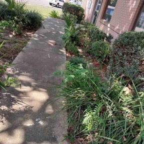 Leaf Removal by IIP Snow Removal &amp; Landscaping reviewed on September 15, 2025