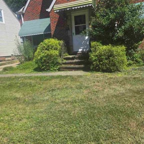 Bush Trimming by Xtreme Klean Pressure washing &amp; Cuts reviewed on April 25, 2023