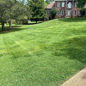 lawn care by YARD M.D. LLC reviewed on June 1, 2025