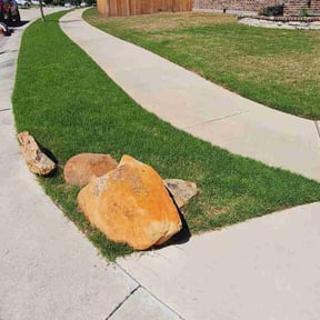 turf maintenance by Wright Cut reviewed on May 20, 2024