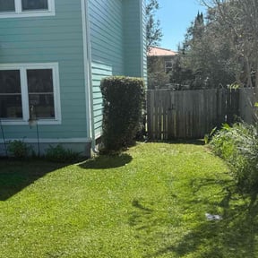 Bush Trimming by Tropicare Landscape and Maintenance reviewed on November 6, 2025