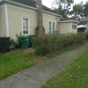 Bush Trimming by Andasol Landscaping reviewed on August 15, 2025