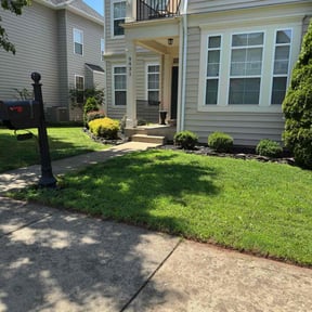 turf care by Lawn Care Completed reviewed on April 19, 2024