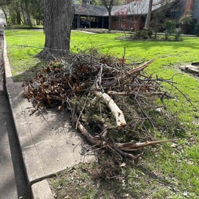 Leaf Removal by Big Redds Landscaping and Lawn Maintenance reviewed on October 3, 2025