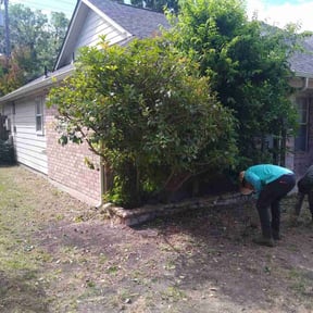 Bush Trimming by Green River Landscape, LLC reviewed on August 17, 2025