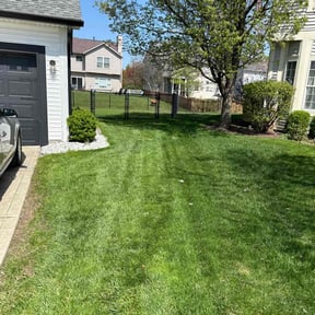 landscaping by SGE Lawn Care reviewed on August 15, 2025