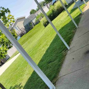 lawn care by E B ENTERPRISE'S reviewed on May 2, 2024