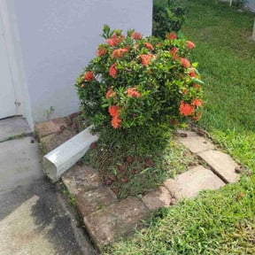 Bush Trimming by Frederickson Lawn Management reviewed on August 21, 2025
