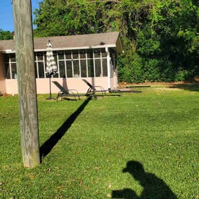 lawn care services by GET Tax Service reviewed on November 23, 2021