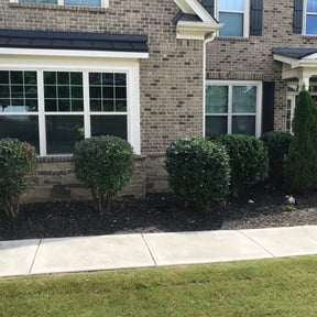 Bush Trimming by Zane's lawn care and more reviewed on August 19, 2025