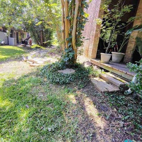 Leaf Removal by Stephen's Lawn Mowing reviewed on July 16, 2026