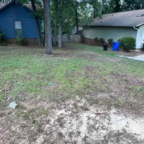 Leaf Removal by KSB Landscapes reviewed on September 15, 2025