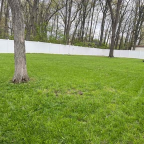 residential landscaping by Kennedy Lawn Care reviewed on August 20, 2025