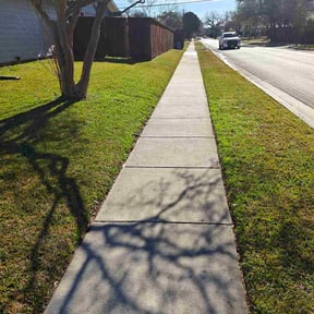 Leaf Removal by All In One Lawn Care reviewed on January 21, 2026