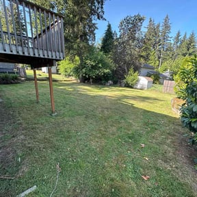 lawn care services by Hummingbird Home Services reviewed on May 7, 2025