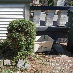 Bush Trimming by Hargett lawn services reviewed on April 6, 2022