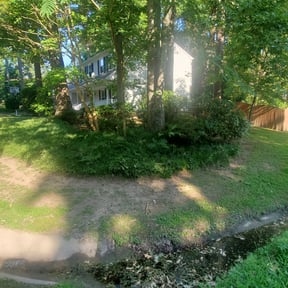 Bush Trimming by Mike's lawn care reviewed on August 18, 2025