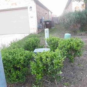 Bush Trimming by B and b lawn and professional services llc reviewed on August 15, 2025
