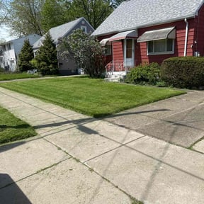 grass cutting by 716 Lawns & Landscaping reviewed on June 15, 2025