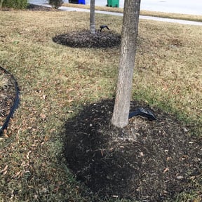 Flower Bed Weeding by Fully Loaded LLC reviewed on August 18, 2025