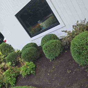 Bush Trimming by Carolinas Lawn&amp;Landscaping reviewed on August 19, 2026