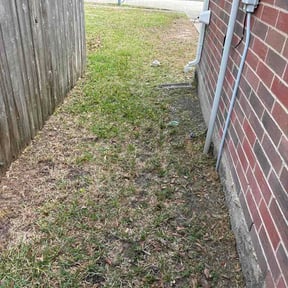 Leaf Removal by Hometeam reviewed on March 30, 2026