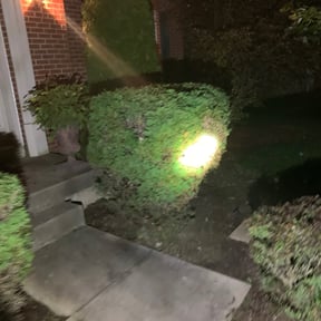 Bush Trimming by Lion&#039;s Landscaping reviewed on November 11, 2023