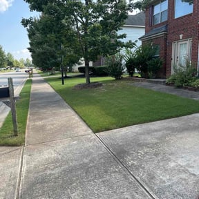 landscape maintenance by 3 Guys and a Cybertruck reviewed on August 16, 2025