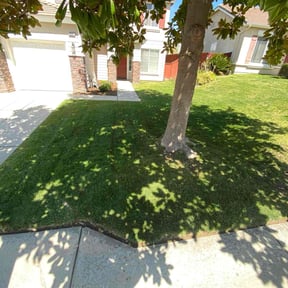 turf care by Mel&#039;s lawn service reviewed on April 3, 2025