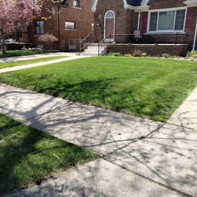 landscaping by R&N lawn care reviewed on August 21, 2025