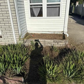 Flower Bed Weeding by Slaughter Clean Cut Lawn Care llc reviewed on November 23, 2025