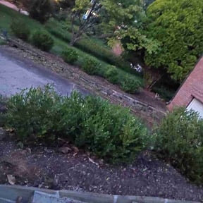 Flower Bed Weeding by Chadricos lawncare reviewed on August 18, 2026