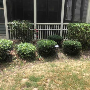 Bush Trimming by LaBriere Competition Services reviewed on August 15, 2025