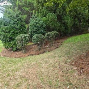 Bush Trimming by Wilson lawn masters reviewed on September 16, 2026