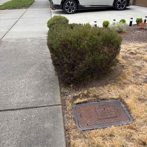 Bush Trimming by Enclave Landscape Management reviewed on June 5, 2022