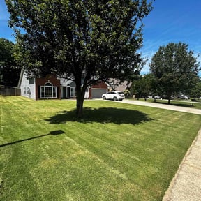 lawn service by Mi3 landscaping and lawn care reviewed on August 17, 2025