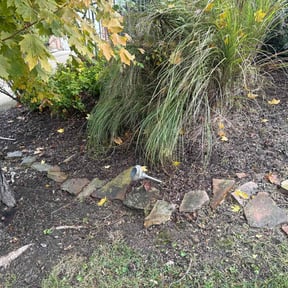 Flower Bed Weeding by RT  Lawncare &amp; Tree Specialist reviewed on November 18, 2025