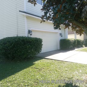 Bush Trimming by TURFection Lawncare reviewed on August 16, 2025