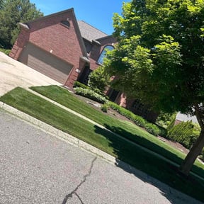 lawn care by Quality Cuts reviewed on August 25, 2024