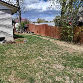 Leaf Removal by Lawn Barber And Pressure Washing reviewed on September 22, 2025