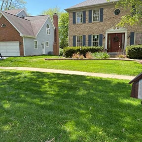 yard maintenance by Heiser Lawn and Residential Excavating reviewed on August 19, 2025