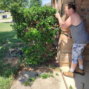 Bush Trimming by Haynes reviewed on August 20, 2025