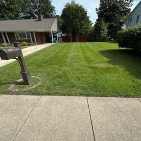 landscaping by SunnySide Servicing reviewed on August 19, 2025
