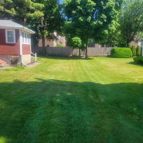 gardening service by C&N lawn care reviewed on August 16, 2025