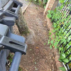 Leaf Removal by Trailside group reviewed on July 15, 2026