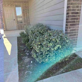 Bush Trimming by D.P.S (Dave Property Services) reviewed on January 22, 2026