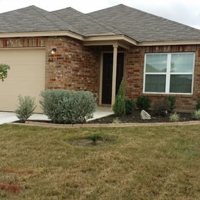 Bush Trimming by David's Landscaping reviewed on August 20, 2025