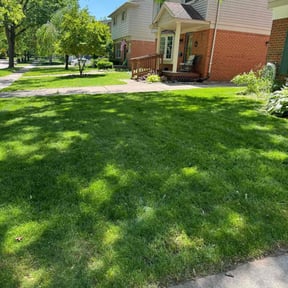 lawn care by M&amp;W Construction reviewed on May 14, 2025