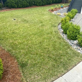 lawn service by Zack and Tyler's Lawn Care reviewed on June 25, 2025